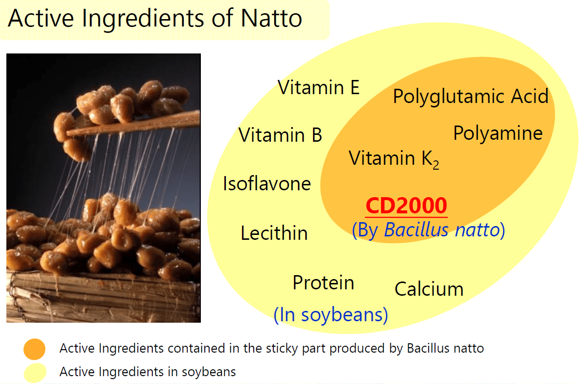 Active ingredients of natto nattokinase japan